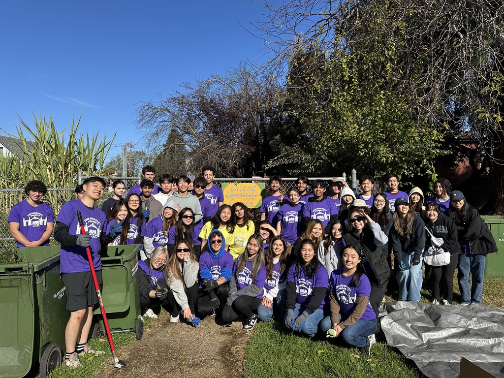 Berkeley Project Day 1